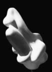 Immagine 30.jpg (12kb)